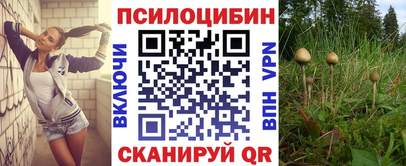 Псилоцибиновые грибы Cubensis  ссылка на мегу маркетплейс  Рославль 