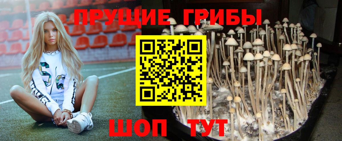 Псилоцибиновые грибы Psilocybe  Вход с VPN  закладка  Псилоцибиновые грибы Psilocybine cubensis  Рославль 